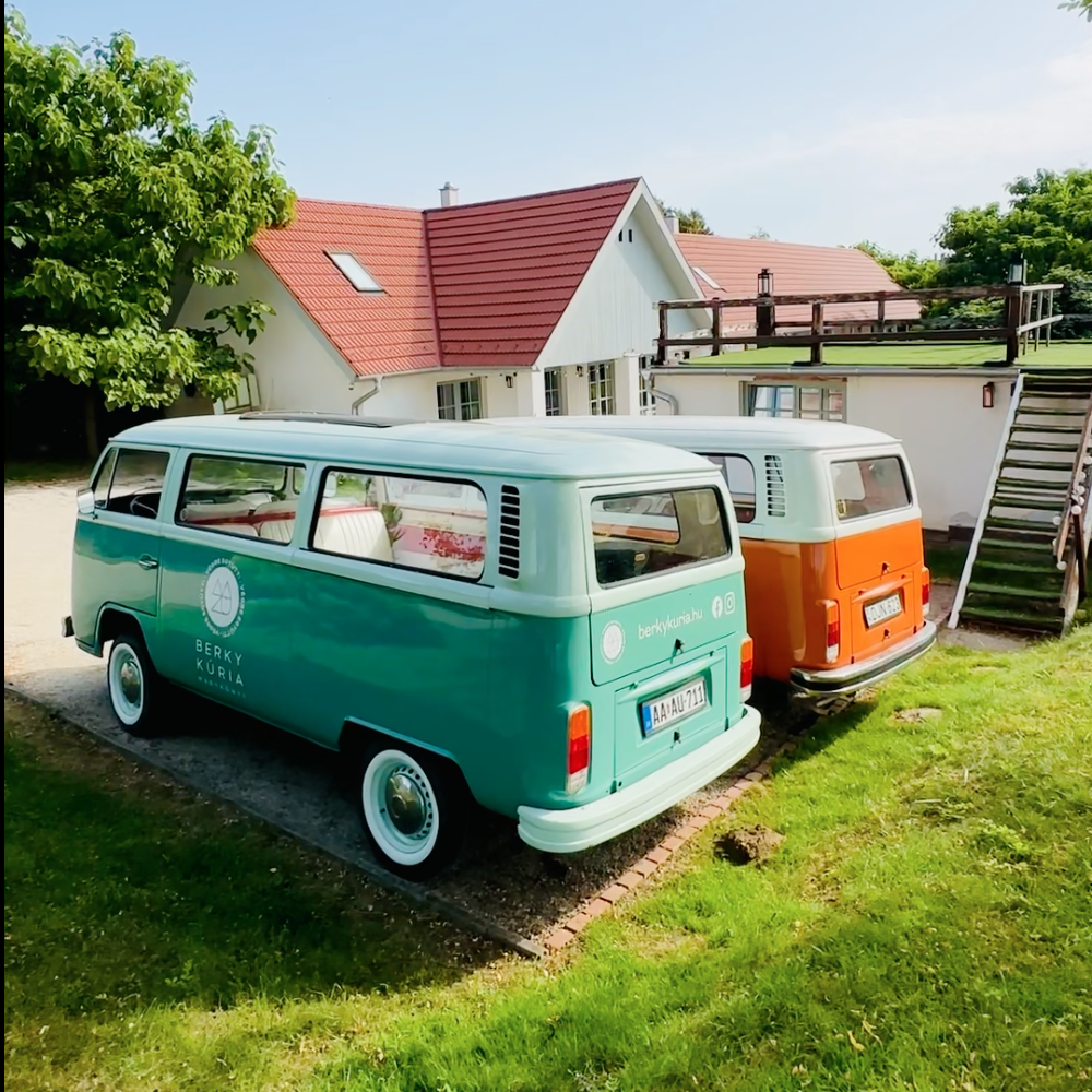 Two vintage Volkswagen T2 buses parked on grass — the teal bus in front and the orange DJN-623 behind